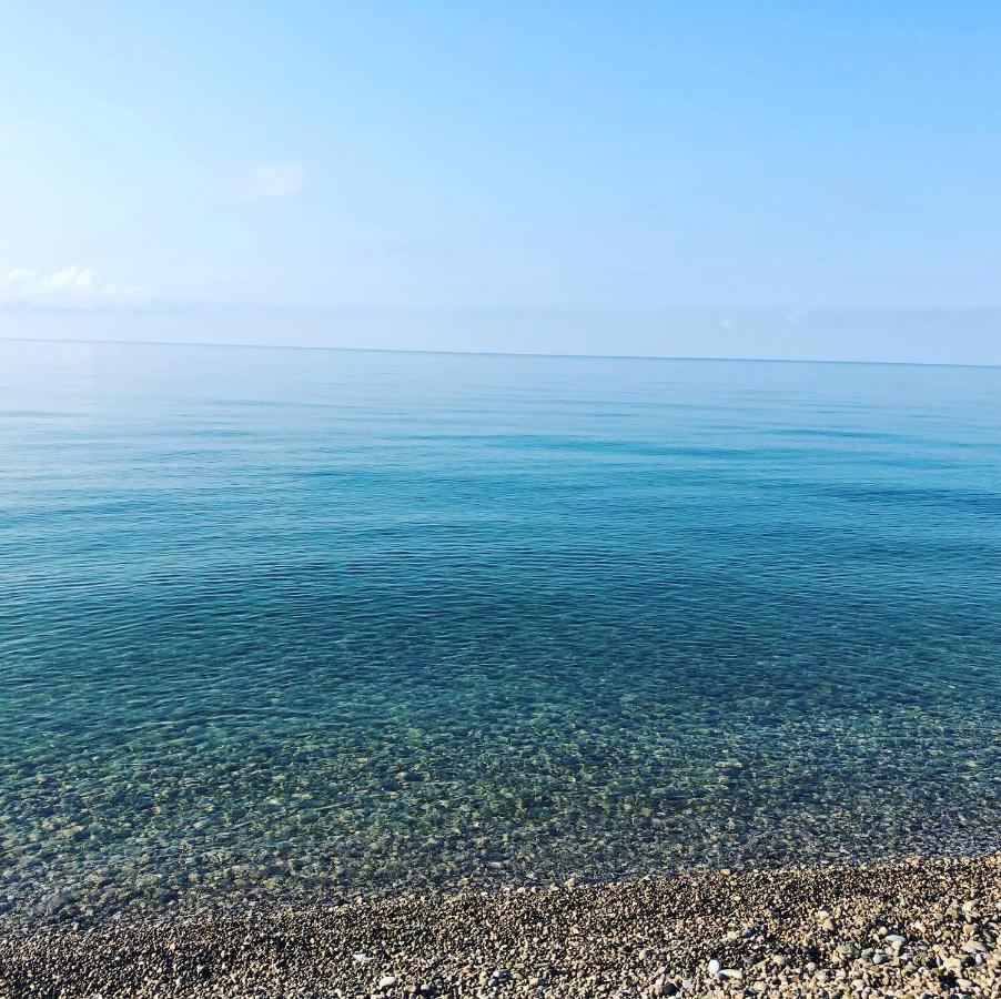 Anastasia Gudauta Bagian luar foto