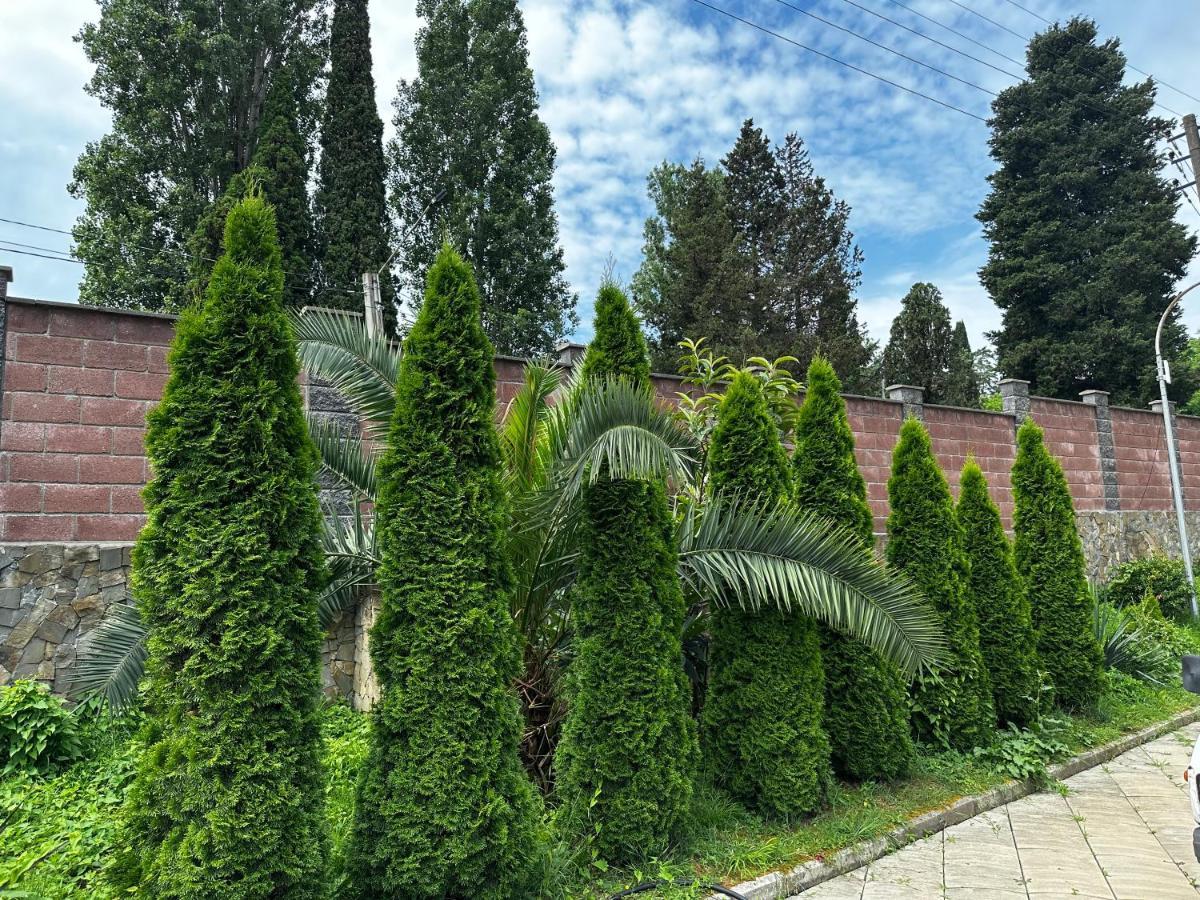 Anastasia Gudauta Bagian luar foto